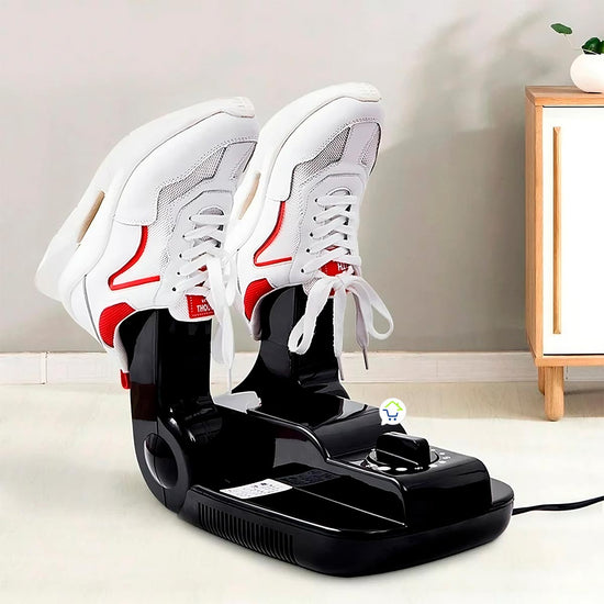 Electric Shoe Dryer